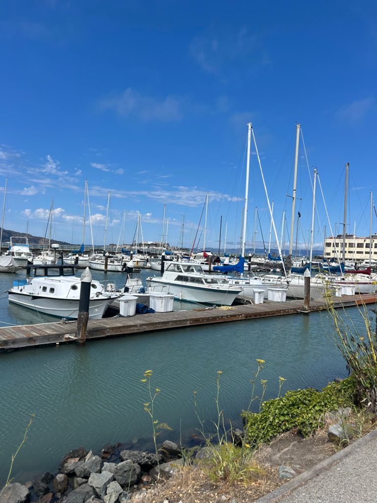 Butterlap (Presidio & Golden Gate Park) photo 197