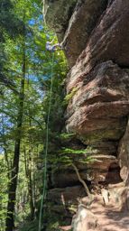 Descente en rappel avec Raphaël