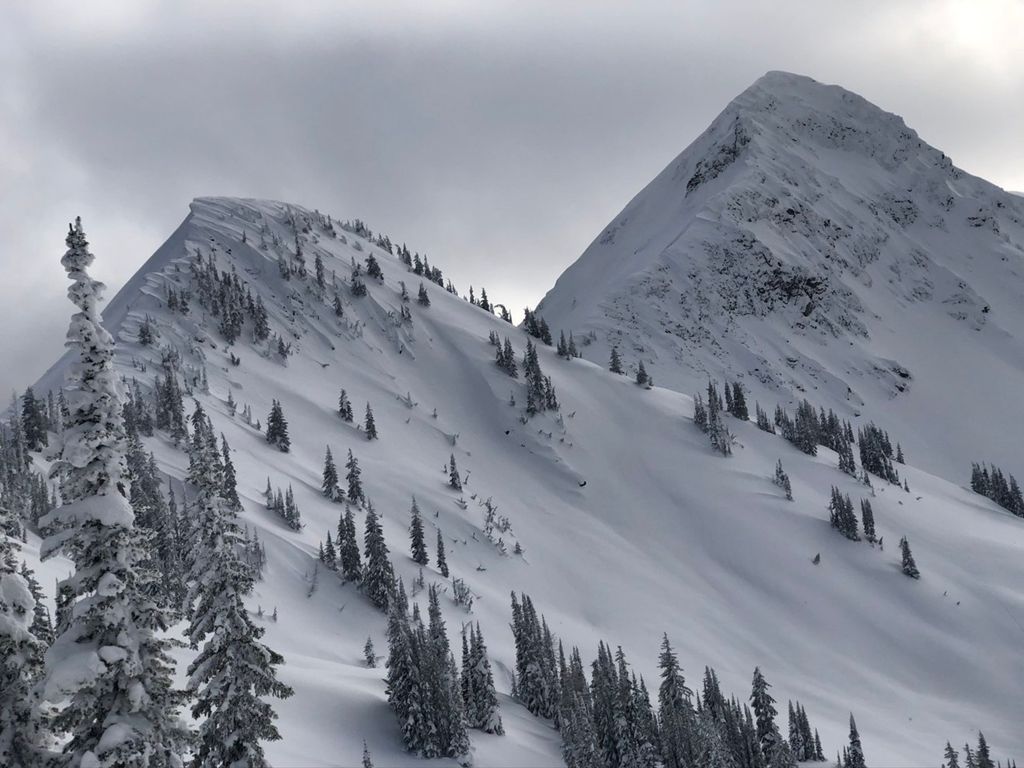 Double-click to expand Retallack Post Skin — photo 2