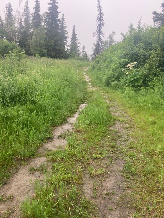 route-highlight