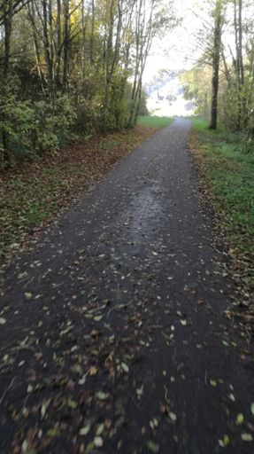 J'ai glissé, chef...😎