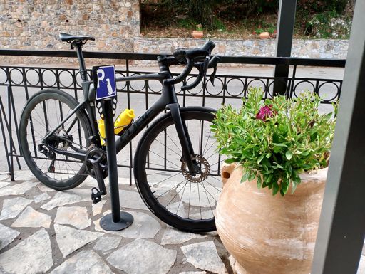 Πιστό σκυλί.....🌑-🌑