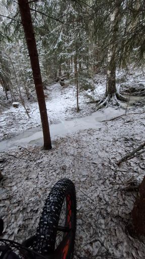 Siisjärven rantapolku