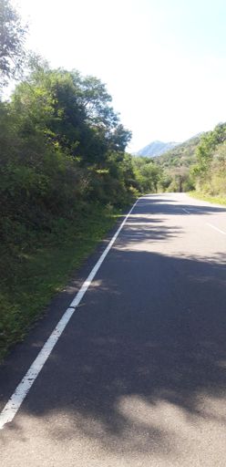 Could hear the trumpets of elephants and just missed capturing them @sembukkarai Chkpost🐘🐘