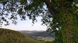 Marche autour de Haselbourg