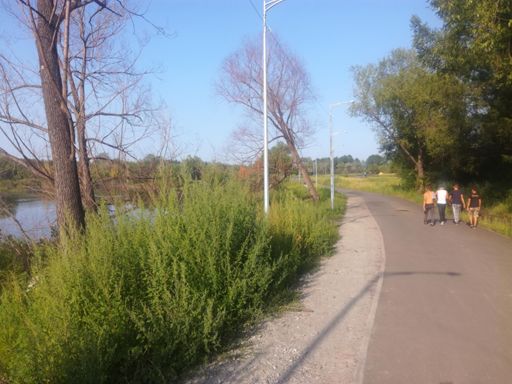 Внешний со стороны пруда