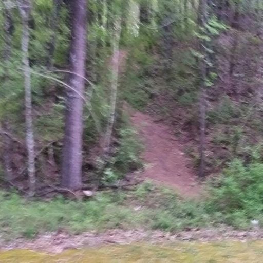 The rocky ridge woods trail - my favorite connector.