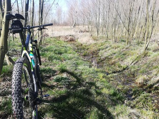 Ojcowizna. Pierwszy raz byłem tu na rowerze 😀