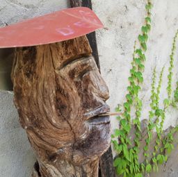 Rando famille entre Peille et Peillon