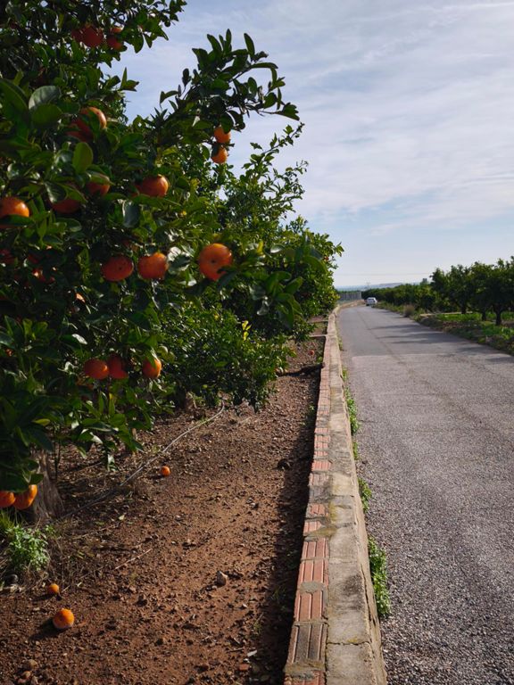 Primeros kilómetros del año!
