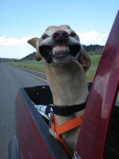 No actual ride photos today, both hands firmly grasping the bars.
But I feel this adequately conveys today’s conditions.