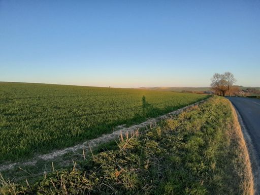 Near Wharram le Street