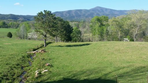 Grassy Mnt from Holly Creek Road
