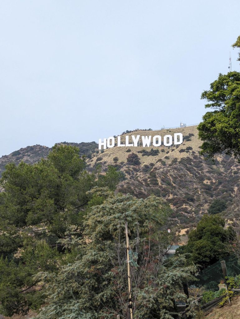 NBB run - Lake Hollywood: фото 146