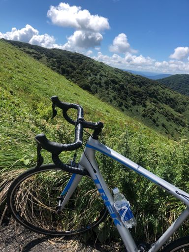 でもこのコースは一番楽しい。