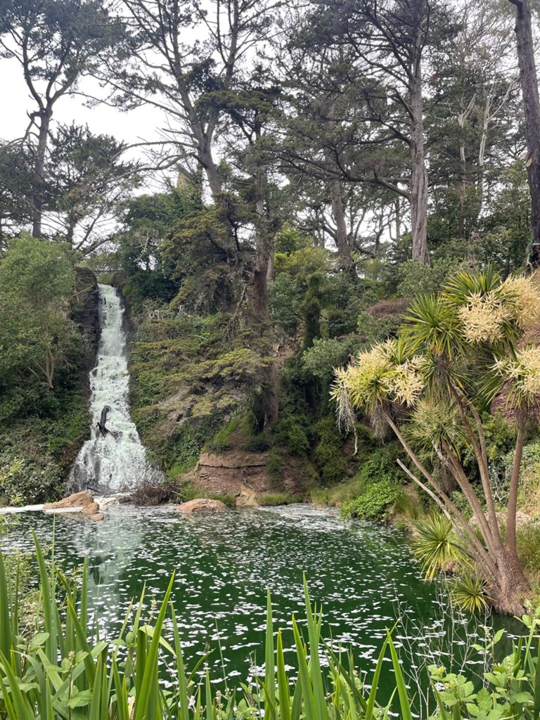 Butterlap (Presidio & Golden Gate Park) photo 49