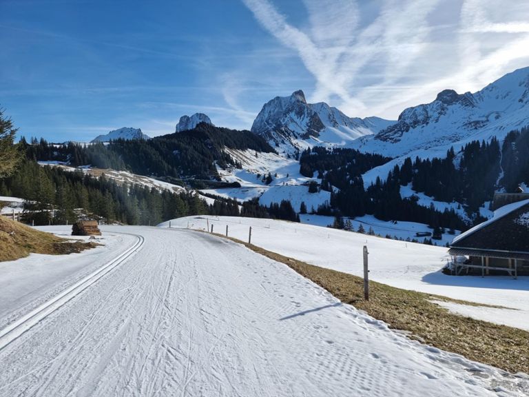 route-highlight
