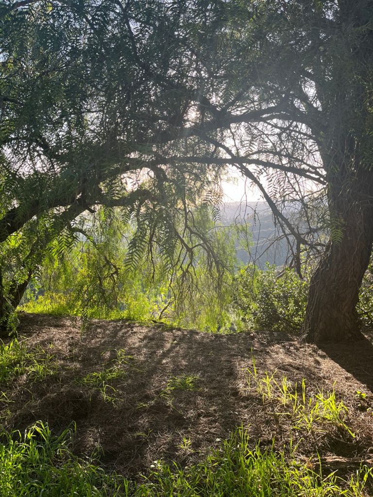 NBB run - Lake Hollywood: фото 50