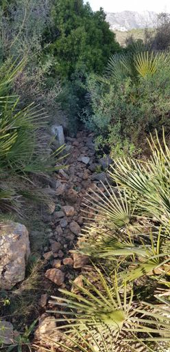 Ja, das ist der Weg - ich war ziemlich zerkratzt