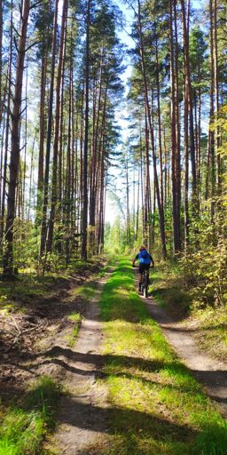 жмет полкиловатта)