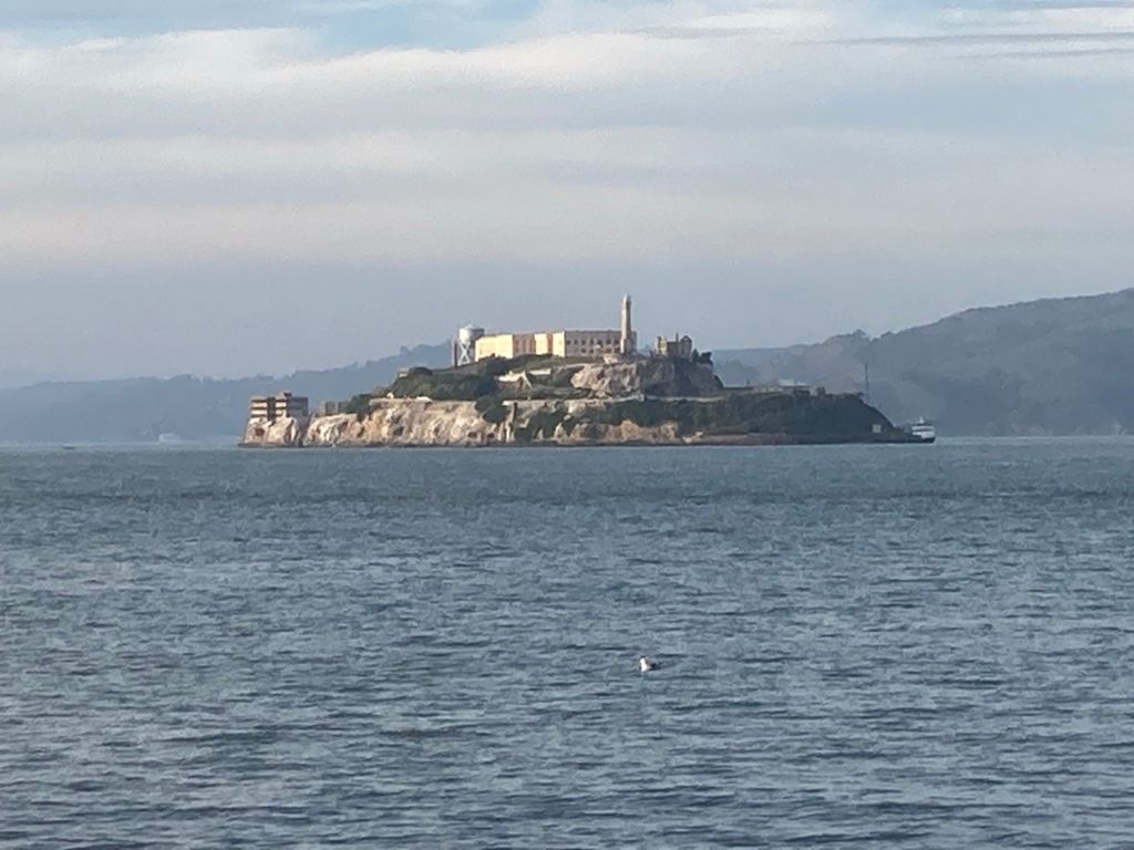 Butterlap (Presidio & Golden Gate Park) photo 58