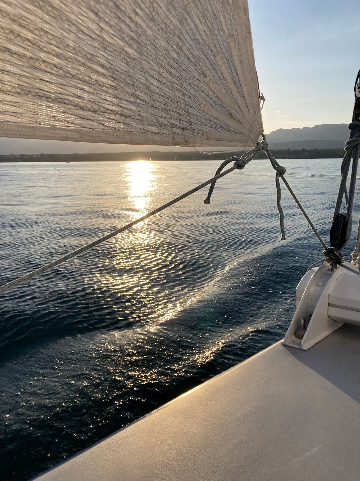 Laurie Ahn Strava Runner Profile