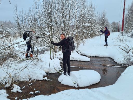 Бобровая запруда на реке Понорь.