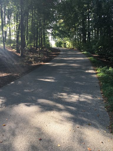 ab hier wird es flacher (17%)