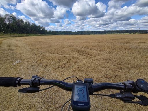 По такому едется, но не кофортно