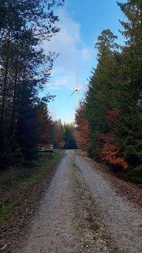 Hunsrück bei Lingerhahn