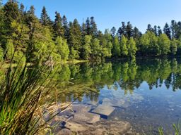 Entre le Coquin et la Maix