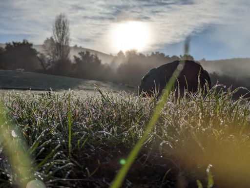 Dewy field at the fountain.