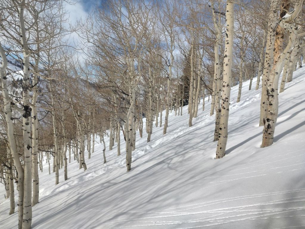 Double-click to expand Backcountry Tour | Big Cottonwood Canyon — photo 4