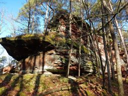 Rando-trail Waldeck