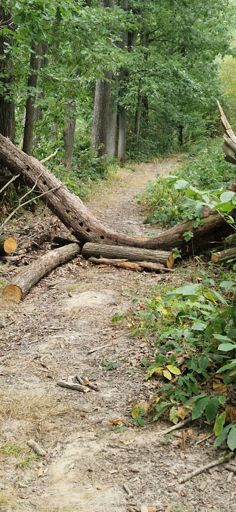 Quelqu'un a démonté le module, je l'ai refait, à vérifier 