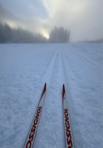 Foggy morning. Much smoother tracks today.