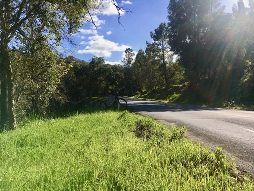 Tapada Nacional de Mafra