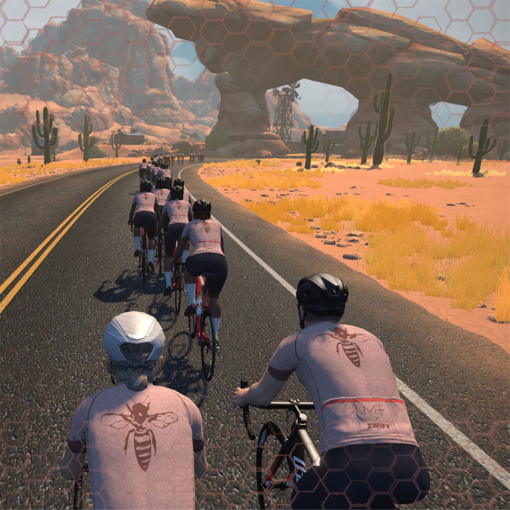 Zwiftの女性コミュニティを称えよう A post by Zwift Japan Official Club on Strava