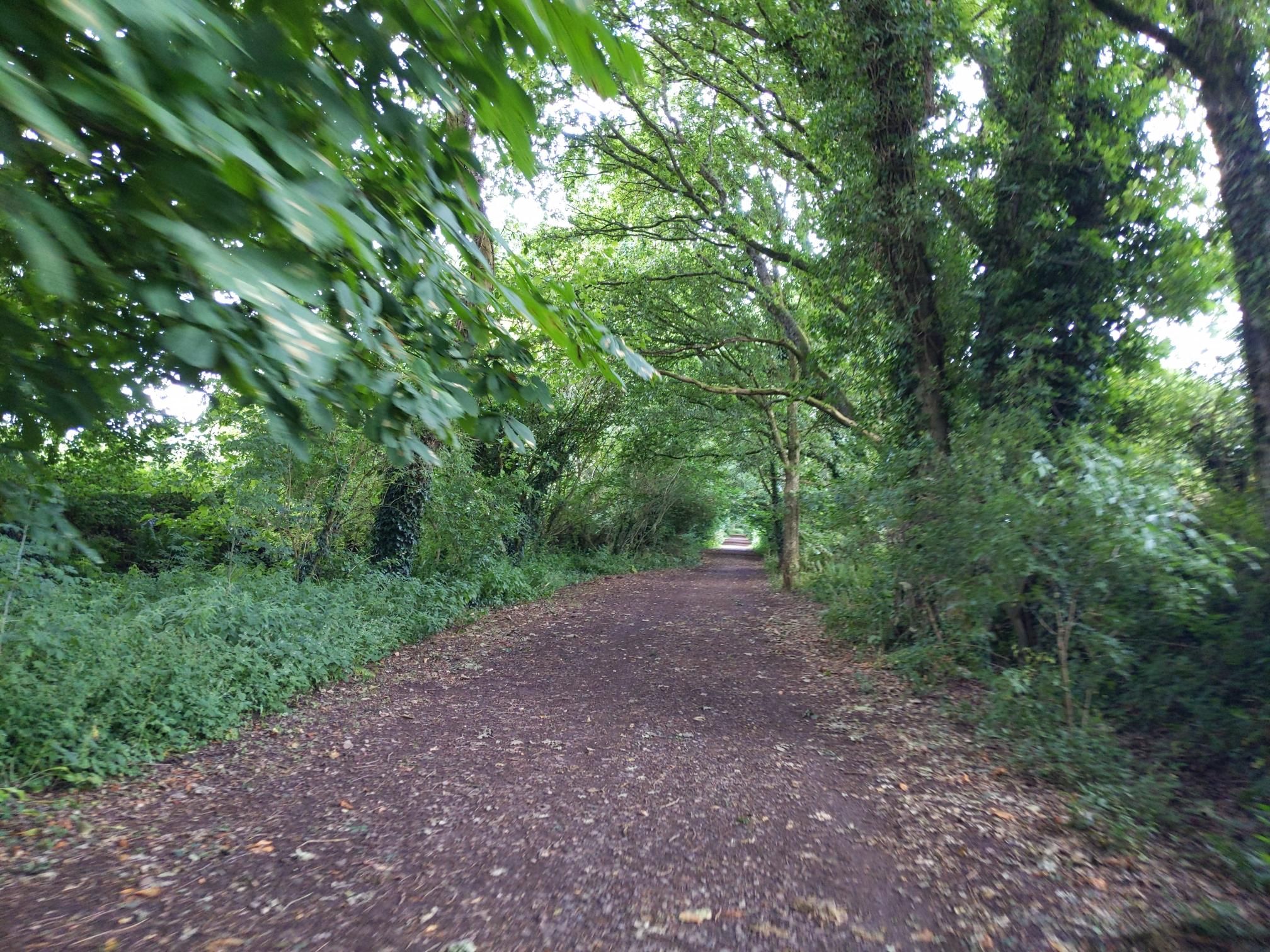 Skipton to Lands End - Day 5 photo 5