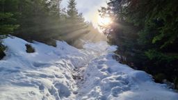 Un petit Donon avec de la neige, du soleil et une mer de nuages SVP