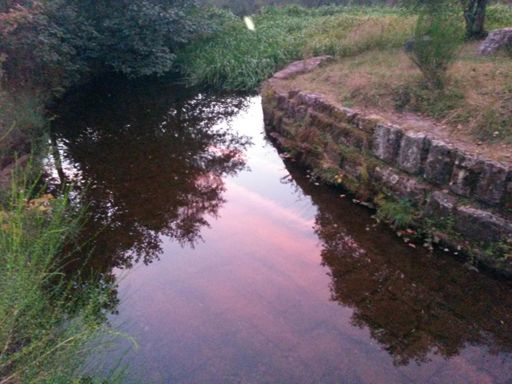 Wolken im Sankenbach.
