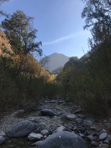 Some really lovely sections!