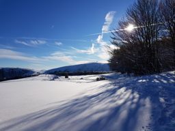 Retournemer Hohneck via la Schlucht