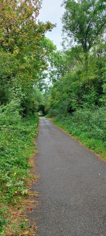 Locks Way - from Bawdrip to Cossington. Formerly part of the Somerset and Dorest Joint Railway. Closed in 1954. https://www.bawdriphistorygroup.org.uk/railway-trail-route-3/