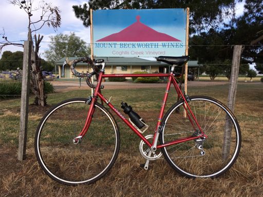 Great reds & lollipop tree on top of Mt Beckworth