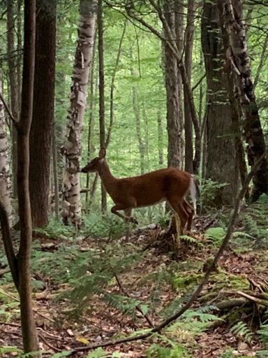 My own John Pappas moment!