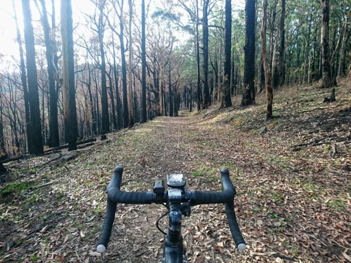 A bit burnt on the shortcut to Ferny Creek