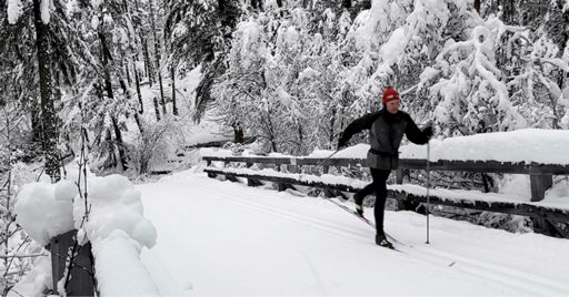 Pleasant striding up Goat Creek trail. Only a few thin spots.