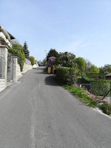 Cornizzolo si presenta coi ripidi ma oggi... Anche coi fiori!