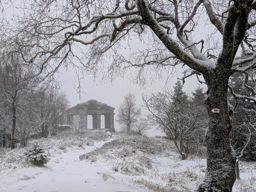 Hiver indien au Donon